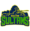 Multan Sultans