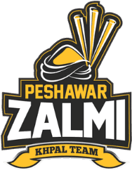 Peshawar Zalmi Official Logo PSL 2026